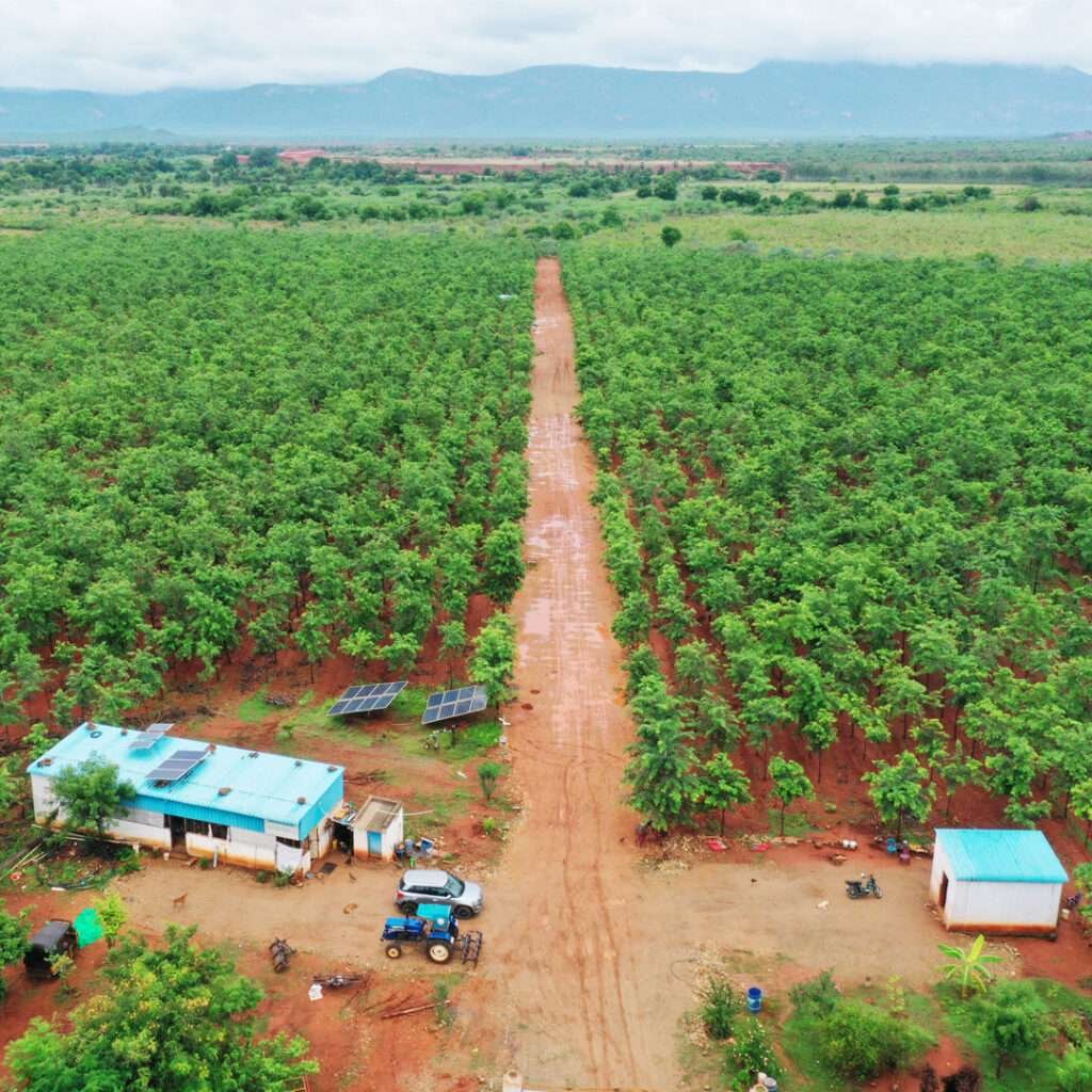 Farm Plot Aerial View